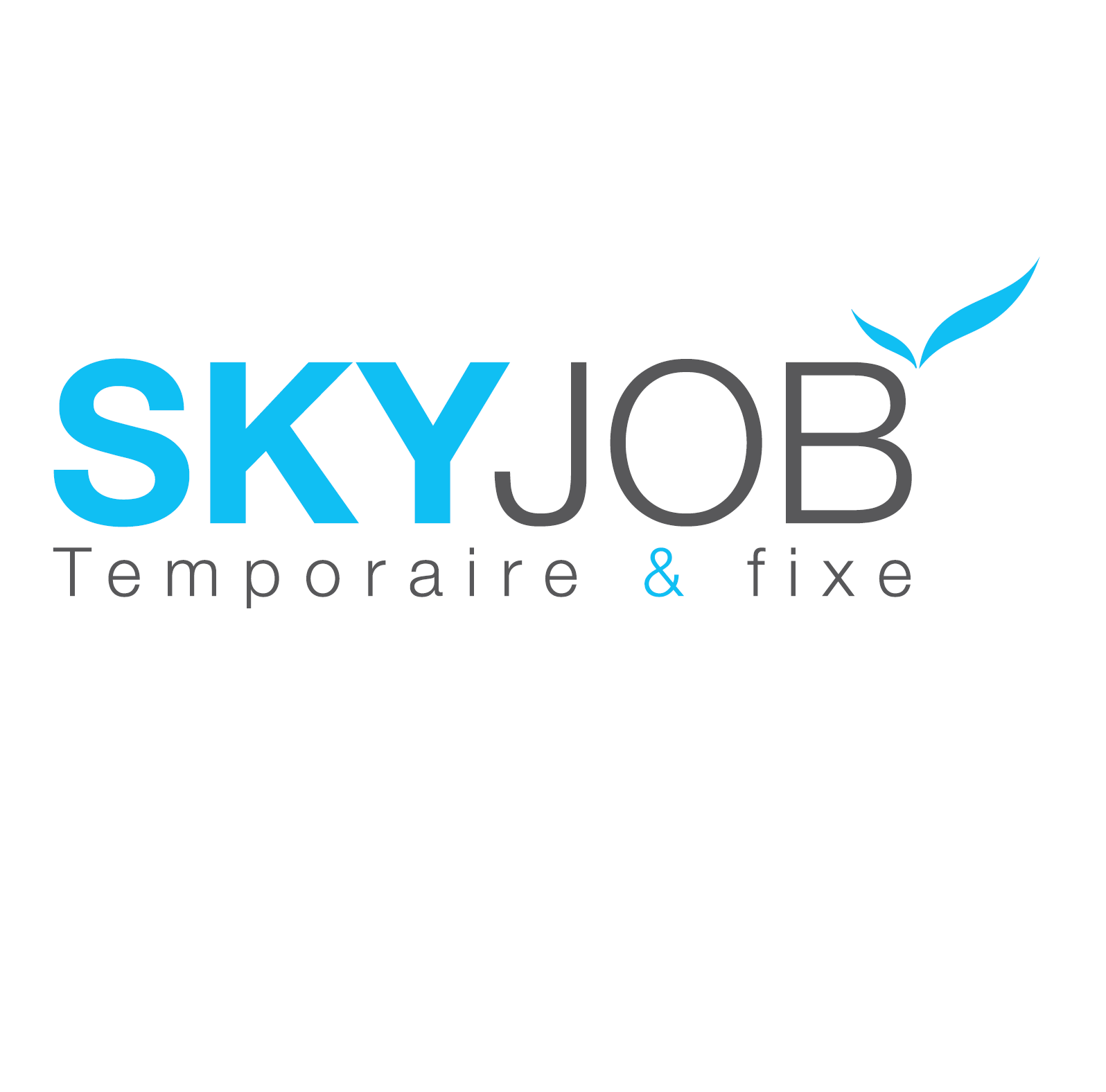 Sky Job SA profile picture